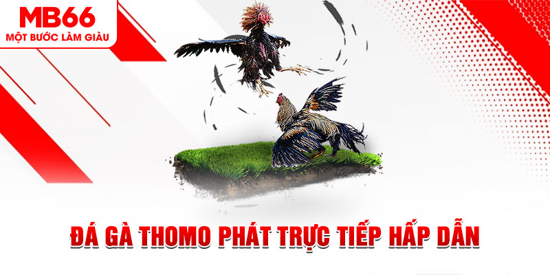 33wim dự đoán xổ số miền trung