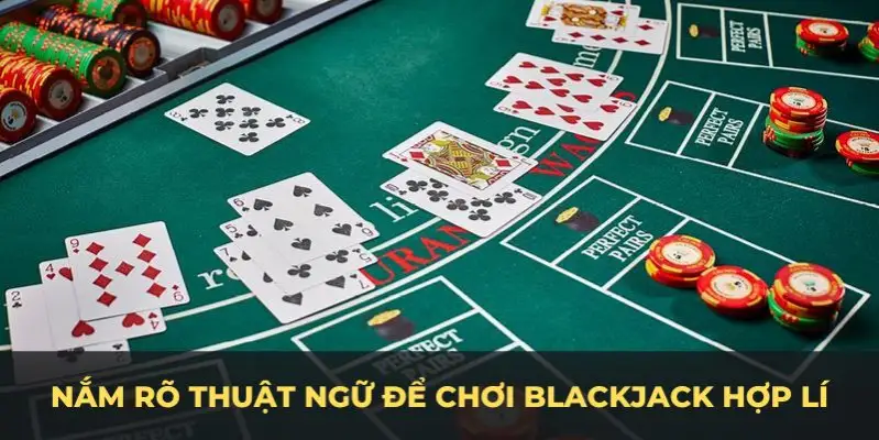33wim c1 gà chọi