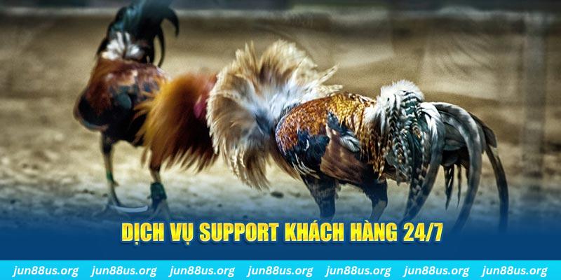 33wim ÁT CHỦ BÀI GIÀNH LẤY ZHUANG NIUNIU ( XEM 4 LÁ )