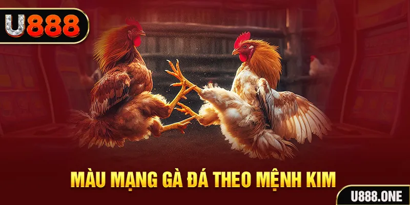 33wim Cỡ bảy