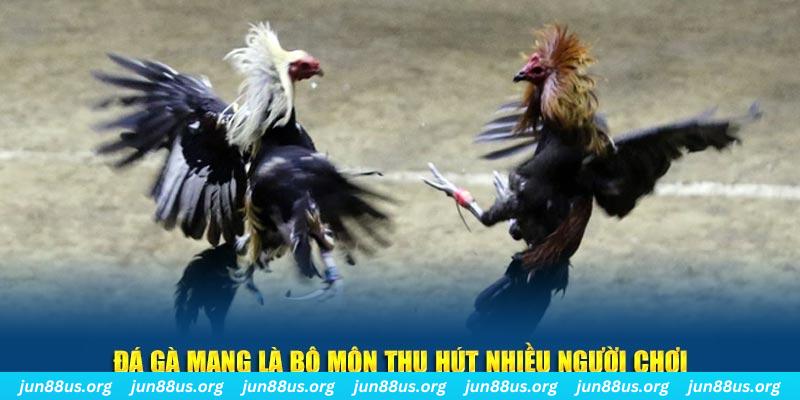 33wim bắn cá au88