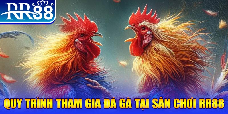 33wim đá gà cam 67