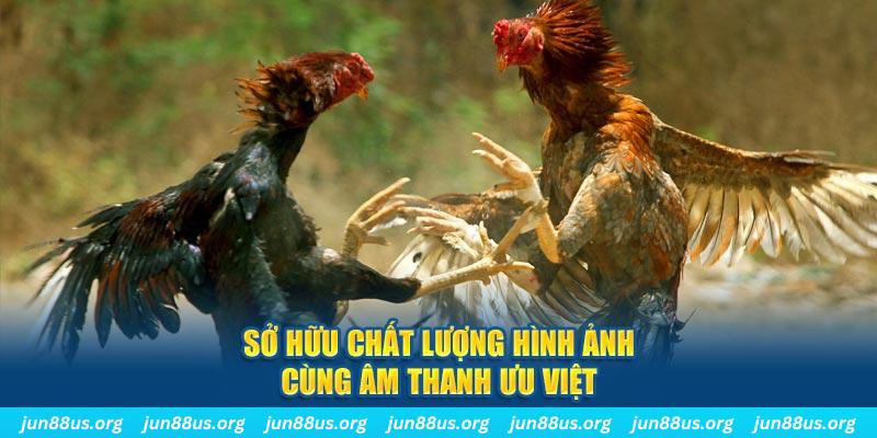33wim PP Điện Tử