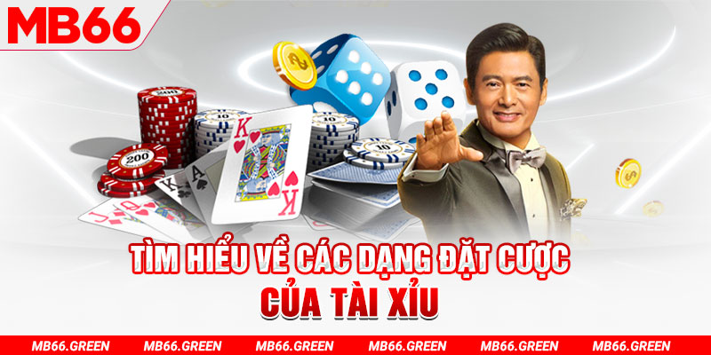 33wim what is a virtual casino