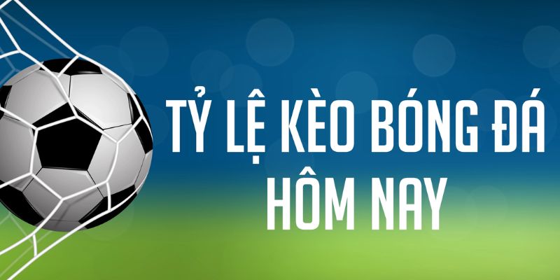 33wim gà chọi c1 mới nhất