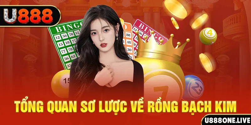 33wim hũ 8 bit nổ như thế nào