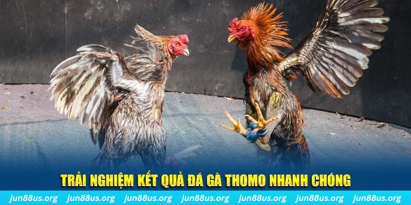 33wim tai game danh bai bigkool ve may tinh