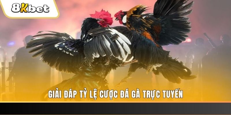 33wim xổ số đài miền trung