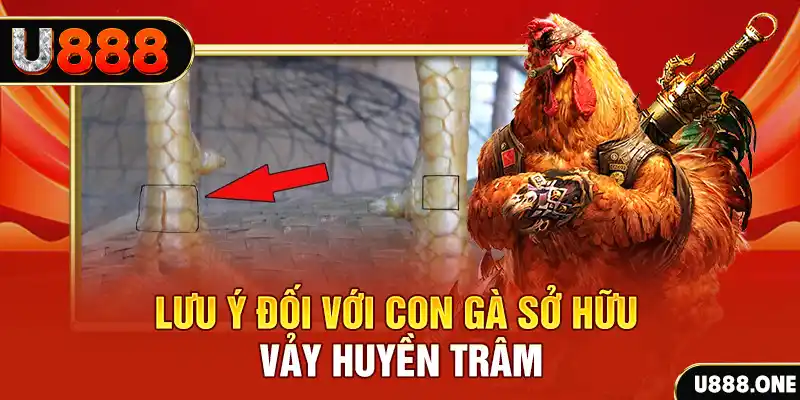 33wim kết quả xổ số miền nam hôm nay