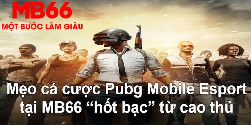 33wim VA Bắn cá