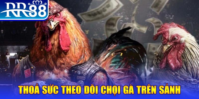 33wim trực tiếp đá gà c1